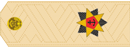 Адмирал флота Адмирал флота